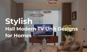 Hall Modern TV Unit Designs